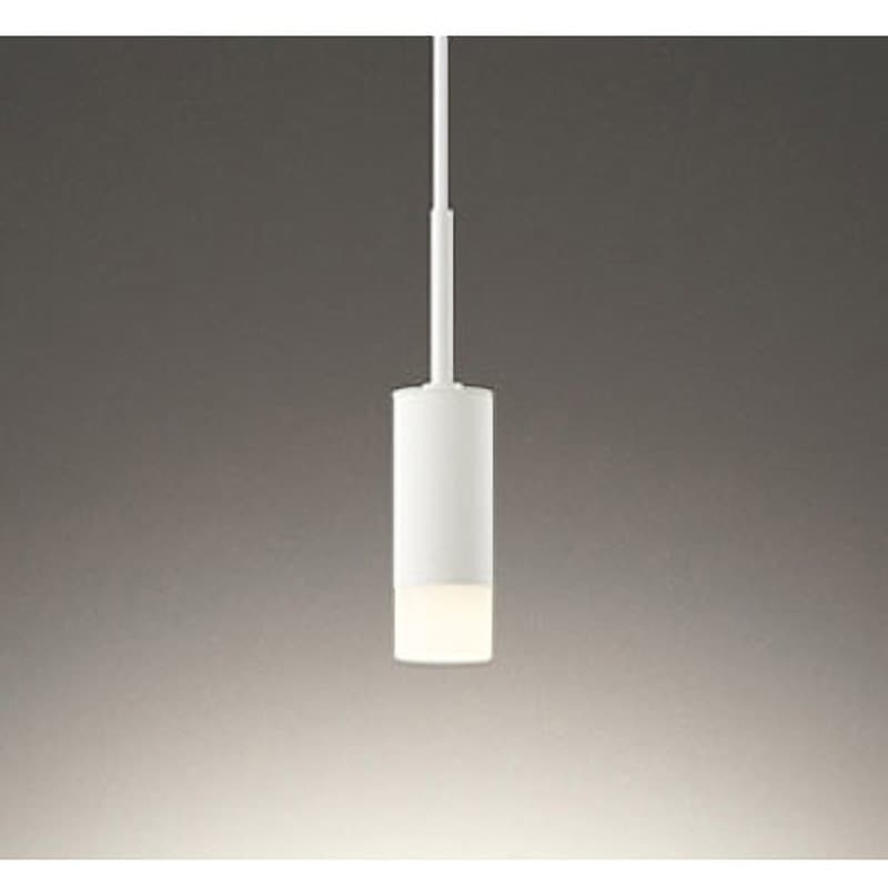 OP252772R ペンダントライト ODELIC(オーデリック) 直付専用取付 電球