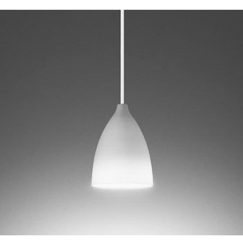 OP252575WR ペンダントライト ODELIC(オーデリック) 引掛シーリング