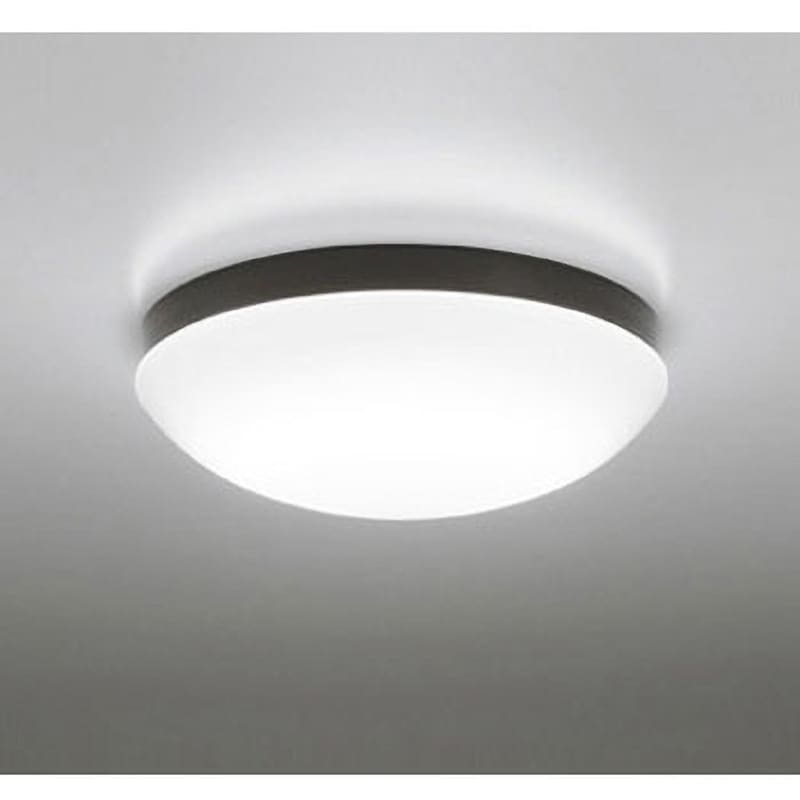 OW269014NR バスルームライト ODELIC(オーデリック) 100V Ra94 ねじ込式取付 昼白色 黒色 5000K   OW269014NR 8,622円