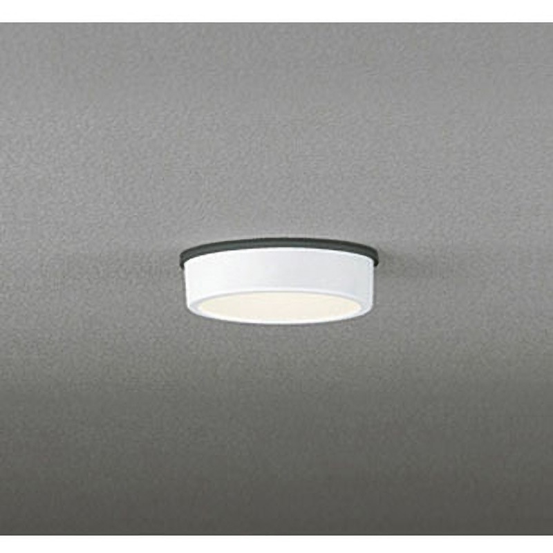 OG254528 エクステリアダウンライト 1台 ODELIC(オーデリック) 【通販