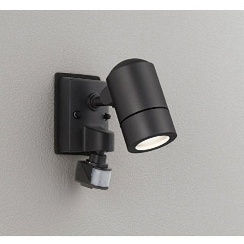 OG254639LR フラッシュ機能付エクステリアスポットライト ODELIC