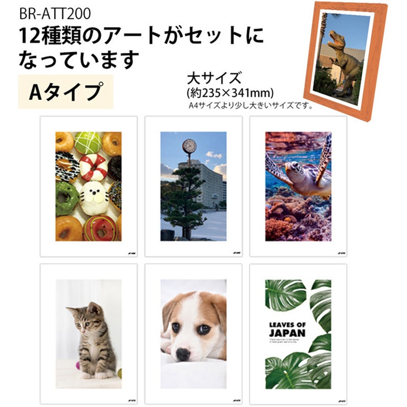 BR-ATT200 飾るアート 非常用トイレ(大) 10回分+アートポスター12種