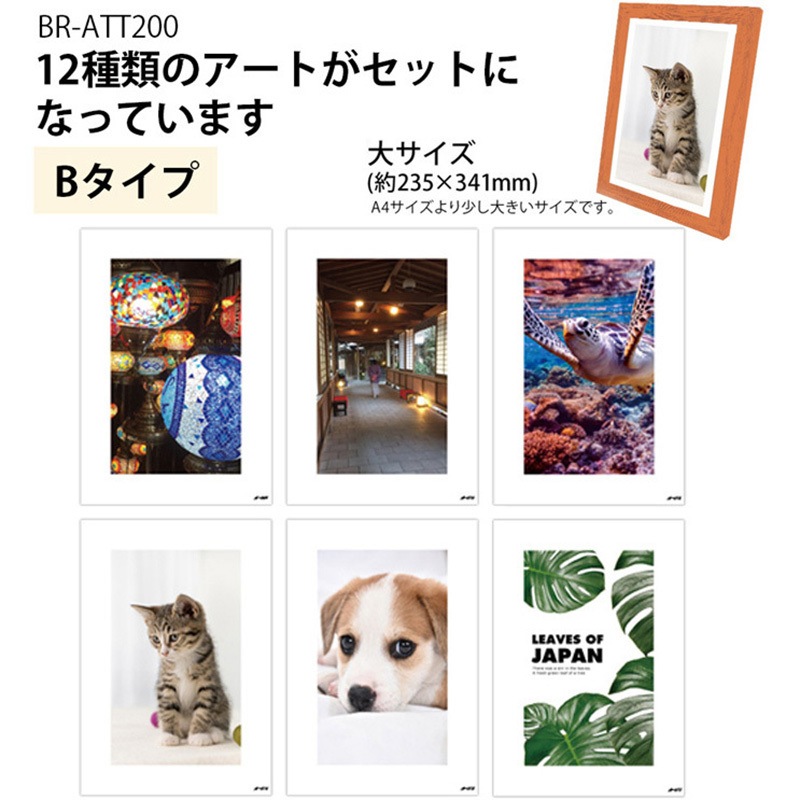 BR-ATT200 飾るアート 非常用トイレ(大) 10回分+アートポスター12種
