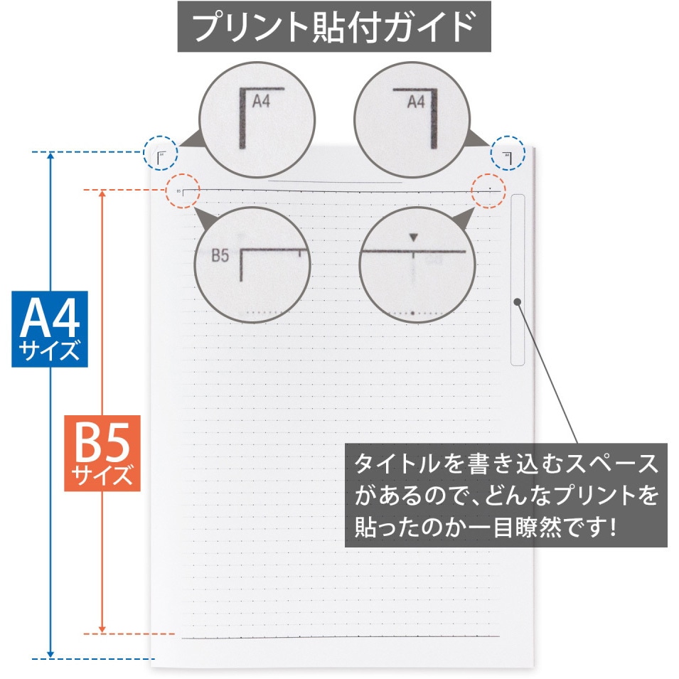 CLW1 College カレッジノート A4 ワイド 日本ノート 糸綴じ 30枚 7mm37