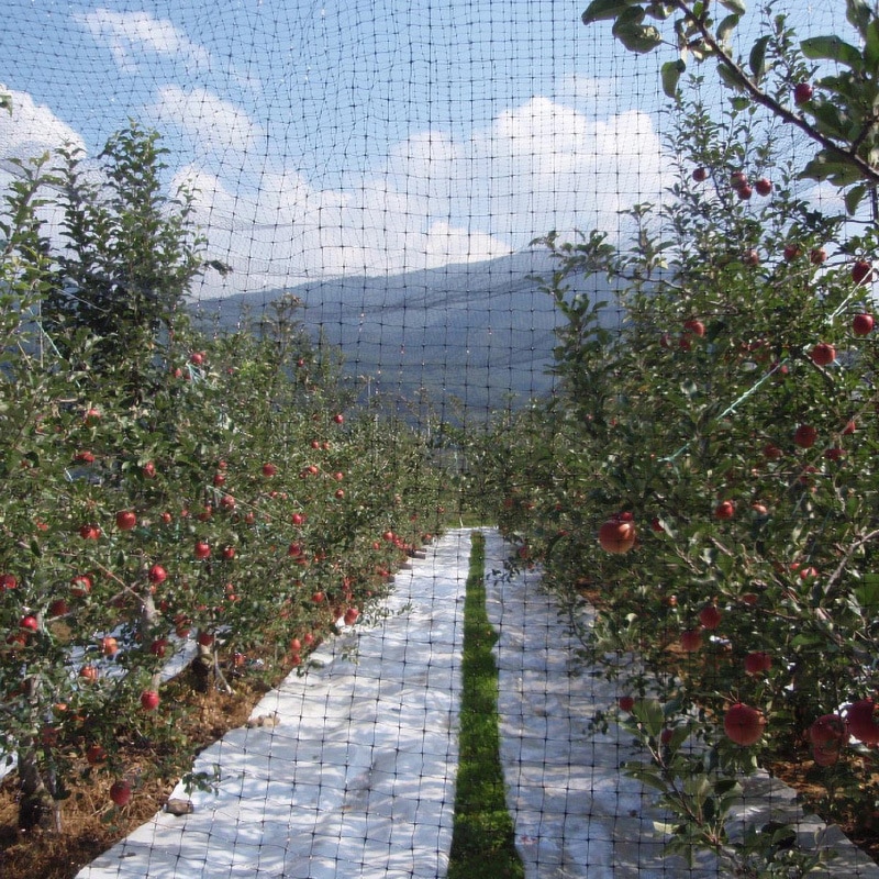 コンウェッドネット OV1670(バードネット) ENEOS(旧:JXTGエネルギー