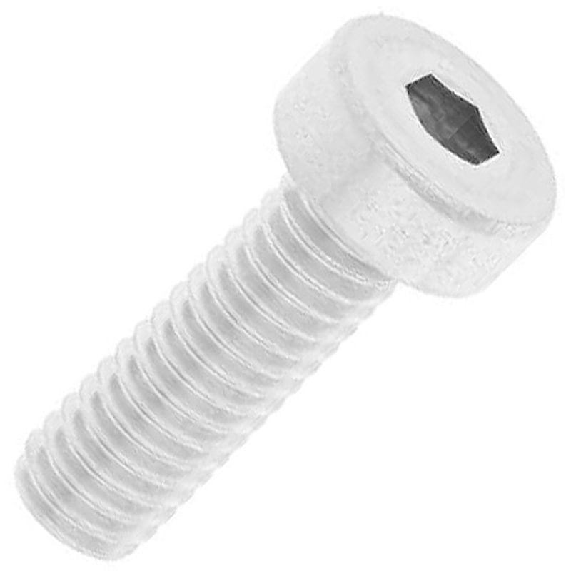 ローヘッドＣＡＰ 10 X 50 ステンレス 生地 ローヘッドＣＡＰ 10 X 50 ステンレス 生地