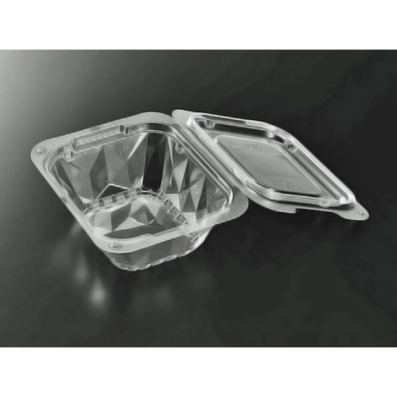 SDL-2 フードパック C-APG 1ケース(50枚×12袋) 中央化学 【通販モノタロウ】