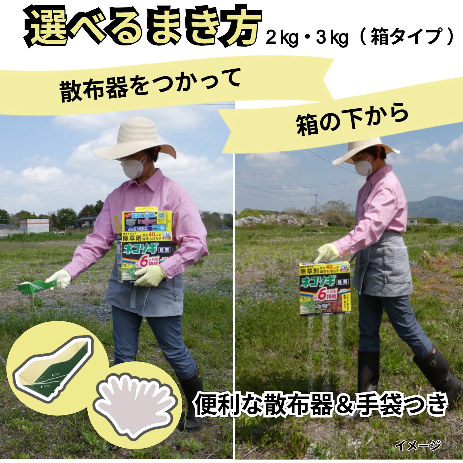 3kg ネコソギブロックV粒剤 1箱(3kg) レインボー薬品 【通販モノタロウ】