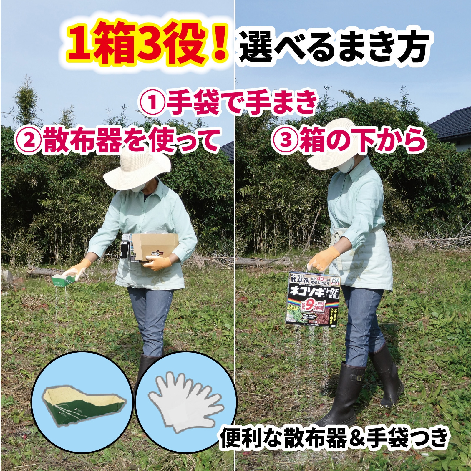 3kg ネコソギトップF粒剤 1箱(3kg) レインボー薬品 【通販モノタロウ】