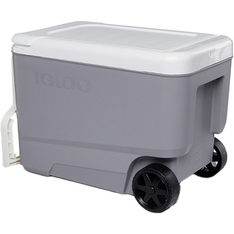 34499 キャスター付き クーラーボックス 大型 ウィリークール38 (36L