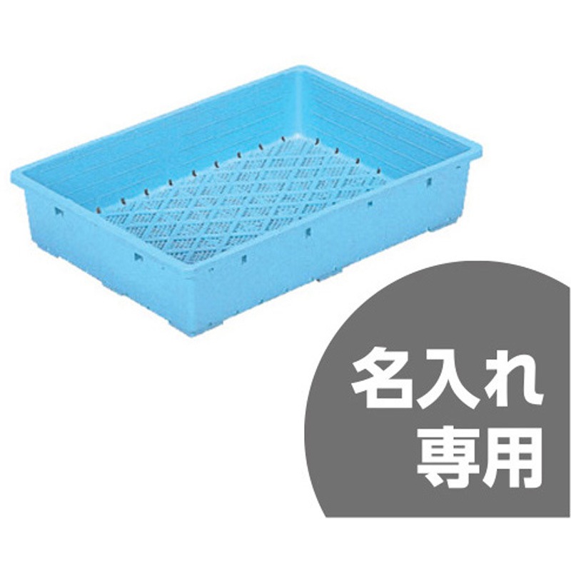 20120600BL502(名入れ) 育苗箱 園芸用2型 1セット(10個) サンコー(三甲