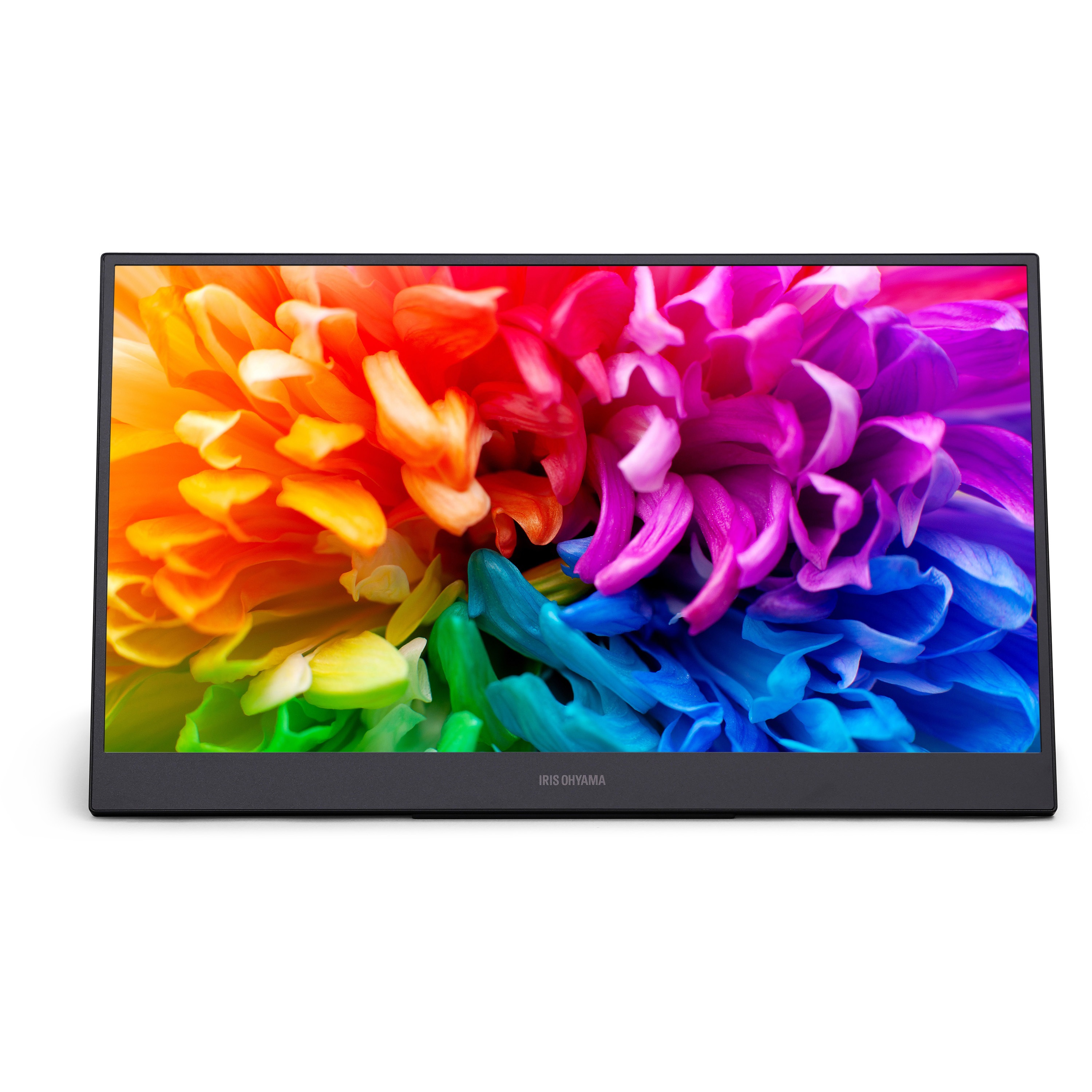 【美品】アイリスオーヤマ　LUCA ポータブルモニター　DP-BF162S-B DP-BF162S-B ポータブルモニター 1台 アイリスオーヤマ 【通販モノタロウ】