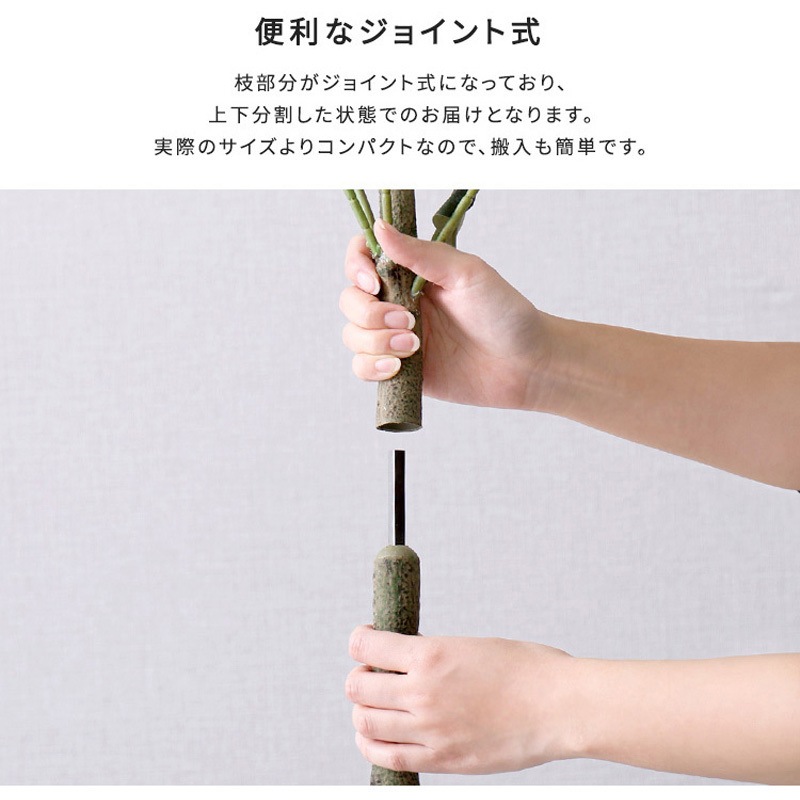 SH-06-EUC-S-GY お手入れ簡単フェイクグリーン ユーカリ Sサイズ(120cm