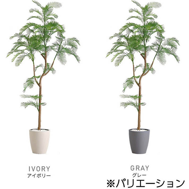 SH-06-EVE-M-GY お手入れ簡単フェイクグリーン エバーフレッシュ M 
