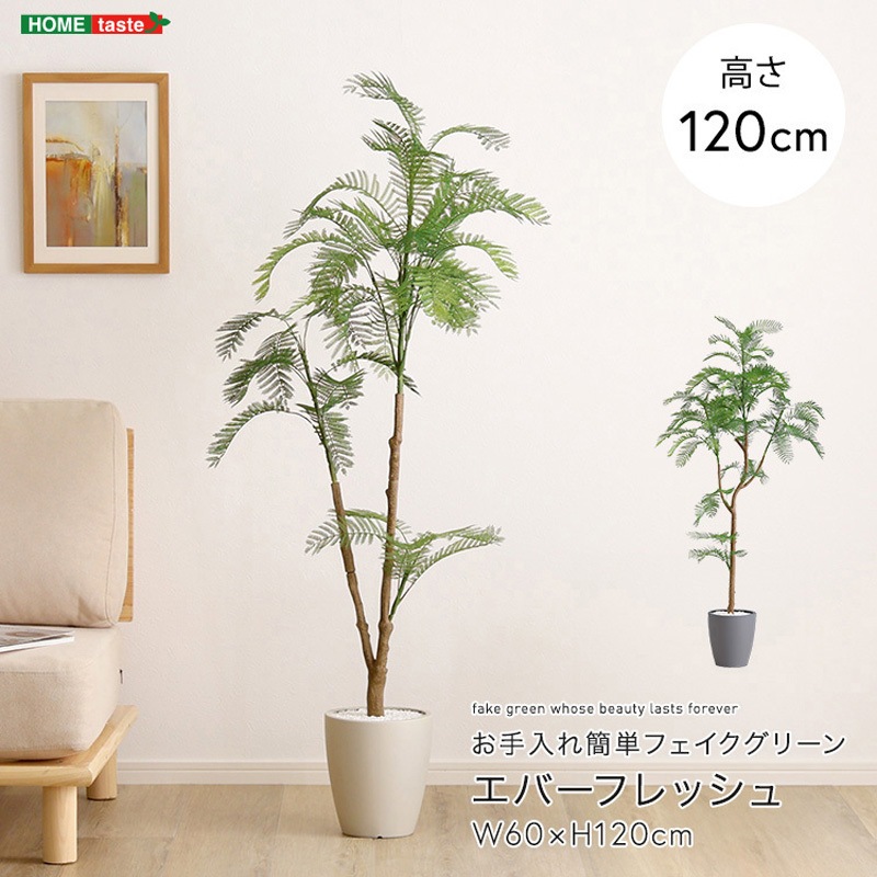SH-06-EVE-S-GY お手入れ簡単フェイクグリーン エバーフレッシュ Sサイズ(120cm) ホームテイスト グレー色   SH-06-EVE-S-GY