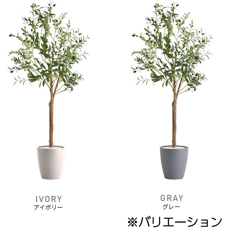 SH-06-OLV-L-IV お手入れ簡単フェイクグリーン オリーブ Lサイズ(180cm