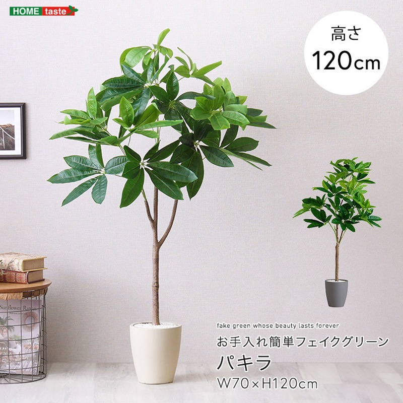 SH-06-PAC-S-GY お手入れ簡単フェイクグリーン パキラ Sサイズ(120cm