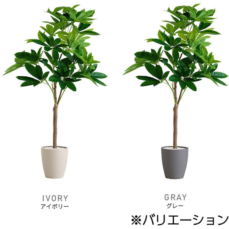 SH-06-PAC-S-GY お手入れ簡単フェイクグリーン パキラ Sサイズ(120cm