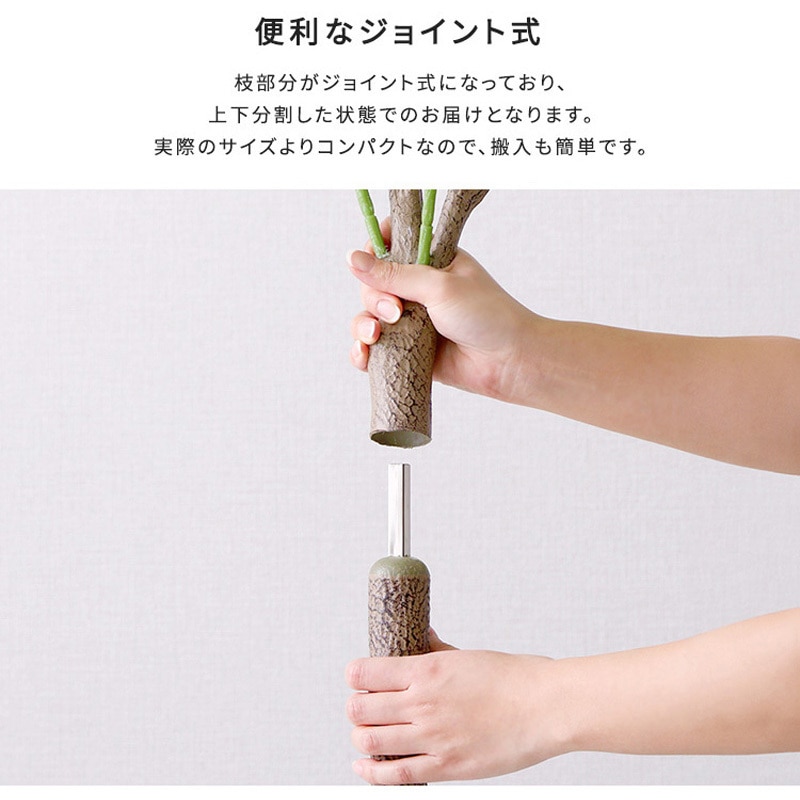 SH-06-PAC-S-IV お手入れ簡単フェイクグリーン パキラ Sサイズ