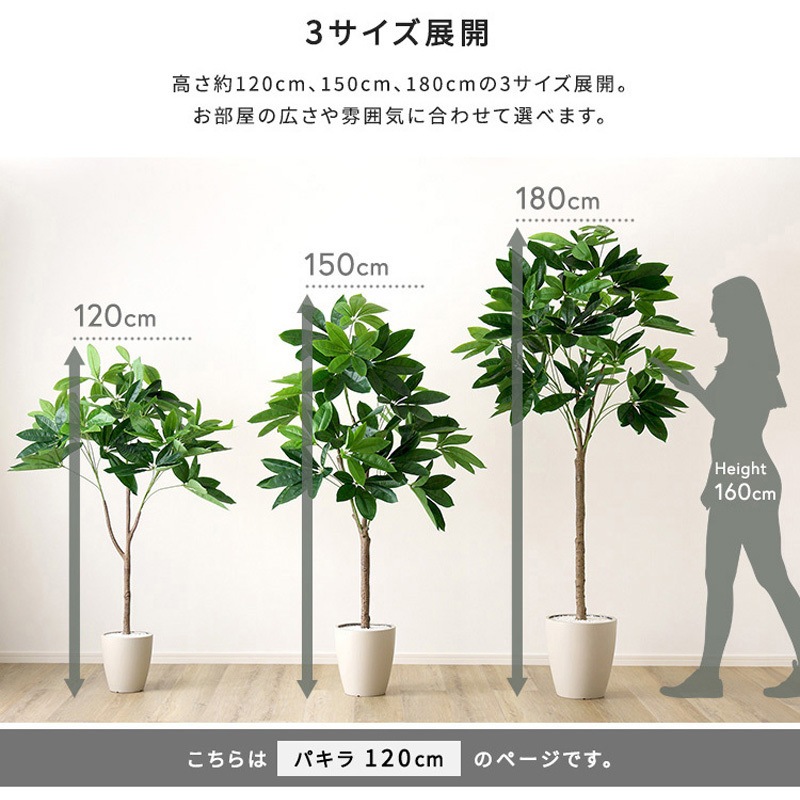 SH-06-PAC-S-IV お手入れ簡単フェイクグリーン パキラ Sサイズ(120cm
