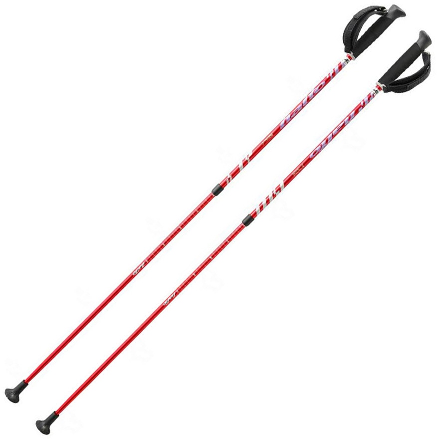 NWP-2141901 ウォーキング14/レッド/- グループN 1組 NWP-2141901