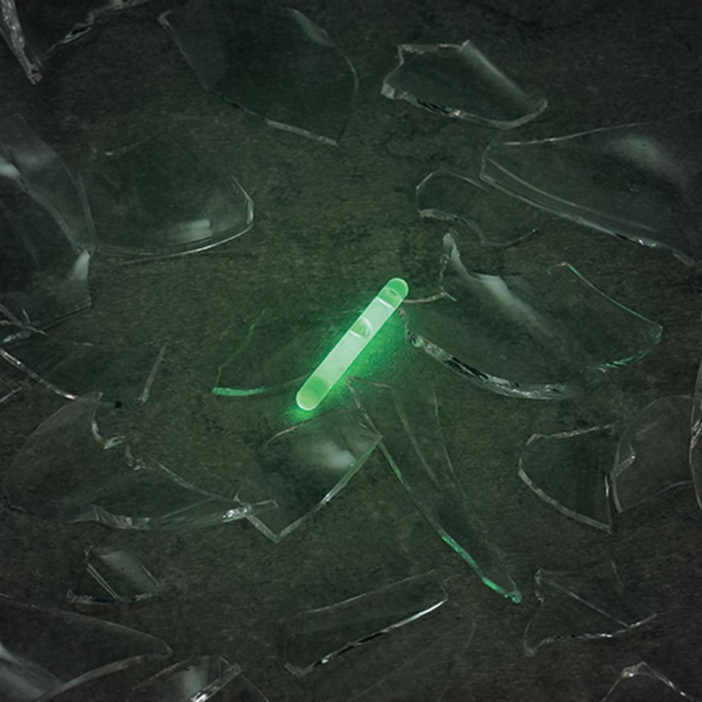 E75313 防災用ルミカライト 1セット(10本) ルミカ 【通販