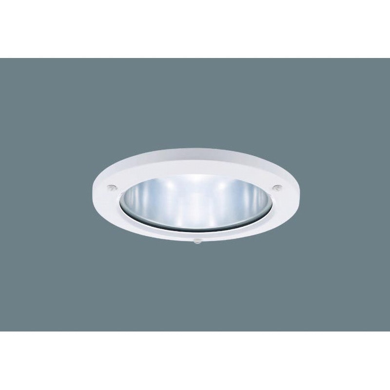 NDG10800S 非常用照明器具 業務用浴室灯 本体 Panasonic(パナソニック) 埋込穴Φ200mm  NDG10800S 37,687円