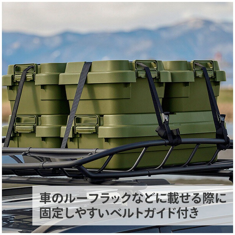 GHON154×2 トランクカーゴ TC-30S LOW リス ブラック色 1セット(2個