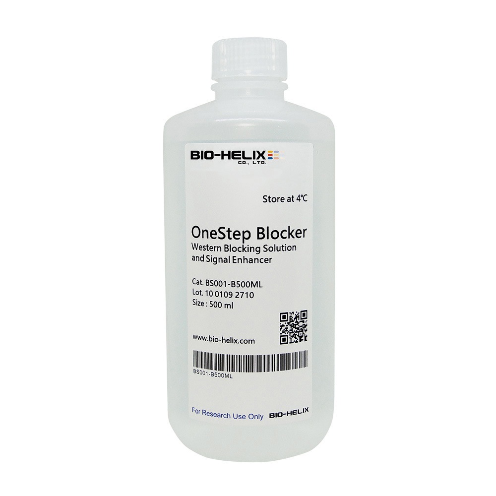 BS001-B500ML ウェスタンブロット検出試薬 BioHelix 1本(500mL) BS001-B500ML
