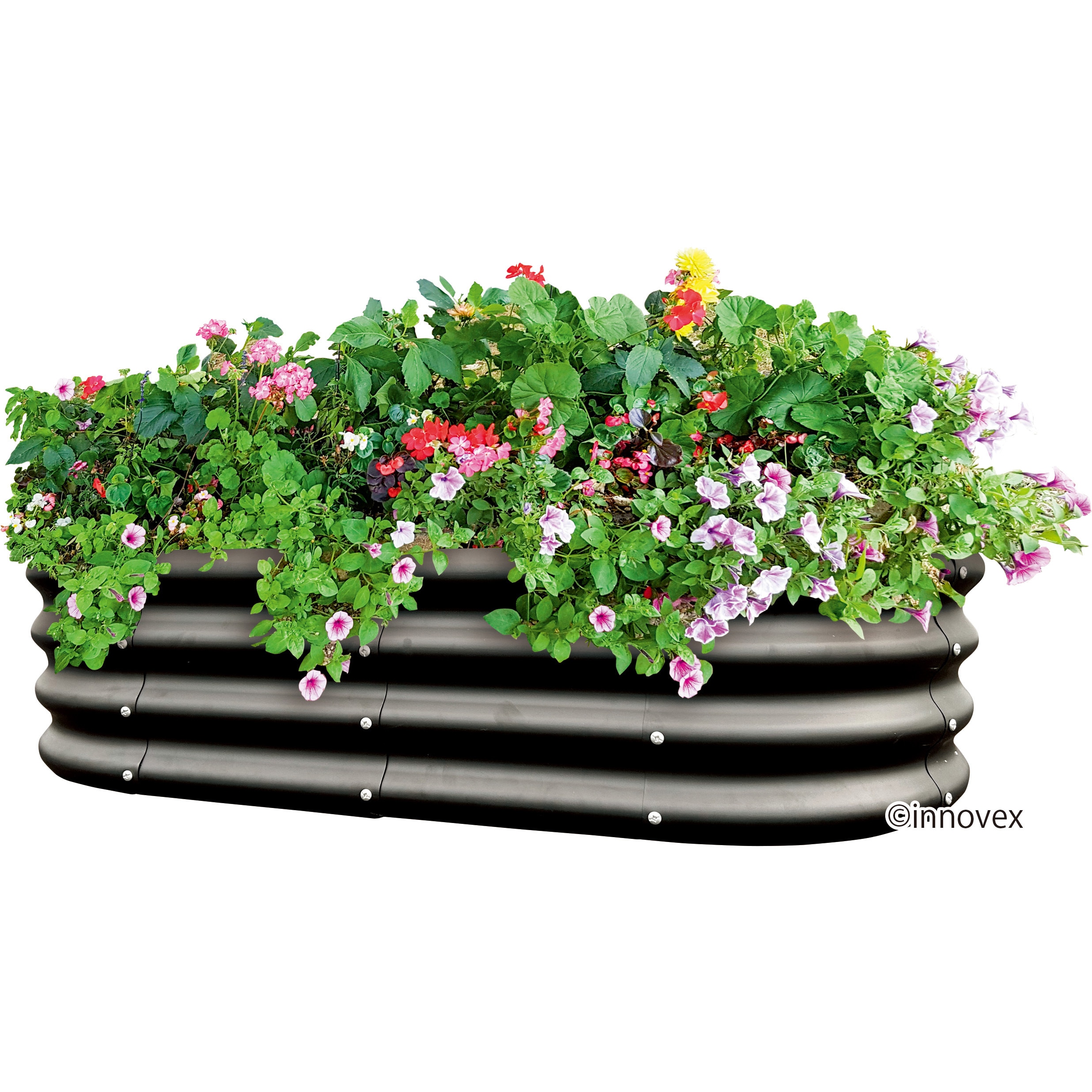 楕円形 グロープランツベッド 1個 イノベックス(旧:ダイオ化成) 【通販モノタロウ】