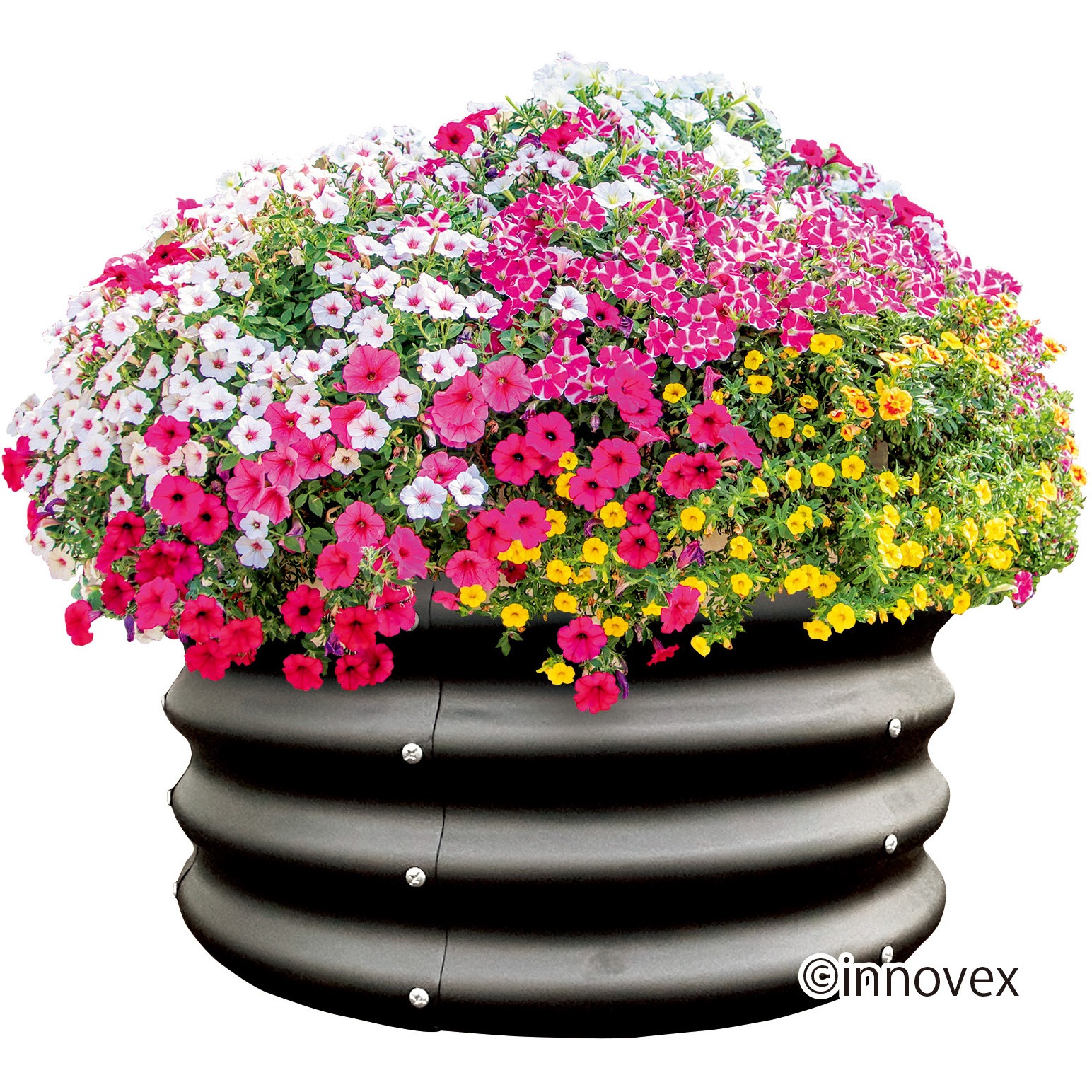 丸型(大) グロープランツベッド 1個 イノベックス(旧:ダイオ化成) 【通販モノタロウ】