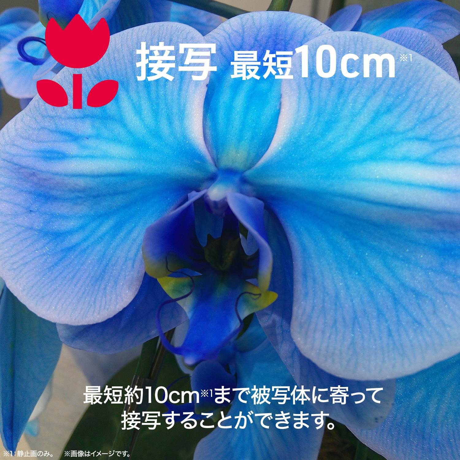 JA4-DCM0001(WH) コンパクトデジタルカメラ aiwa cam DCB aiwa(アイワ 