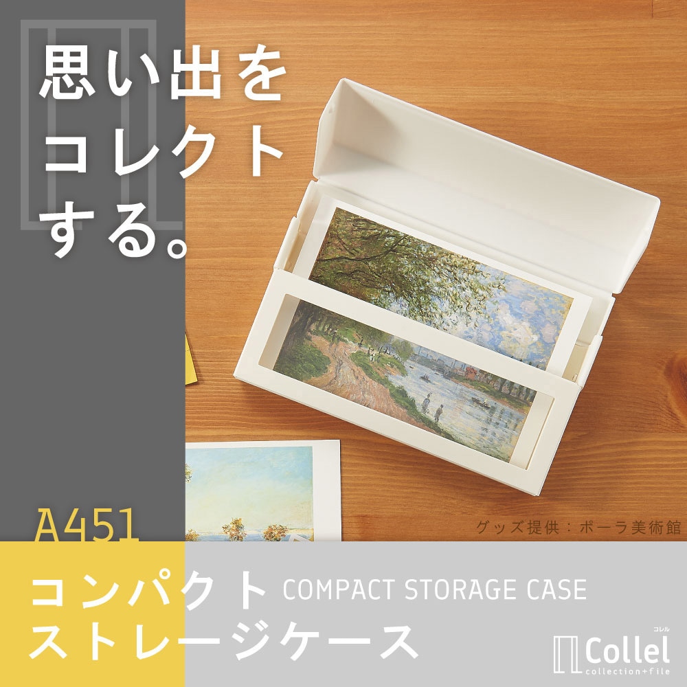 A451-0 Collel コンパクトストレージケース リヒトラブ サイズA6 1冊