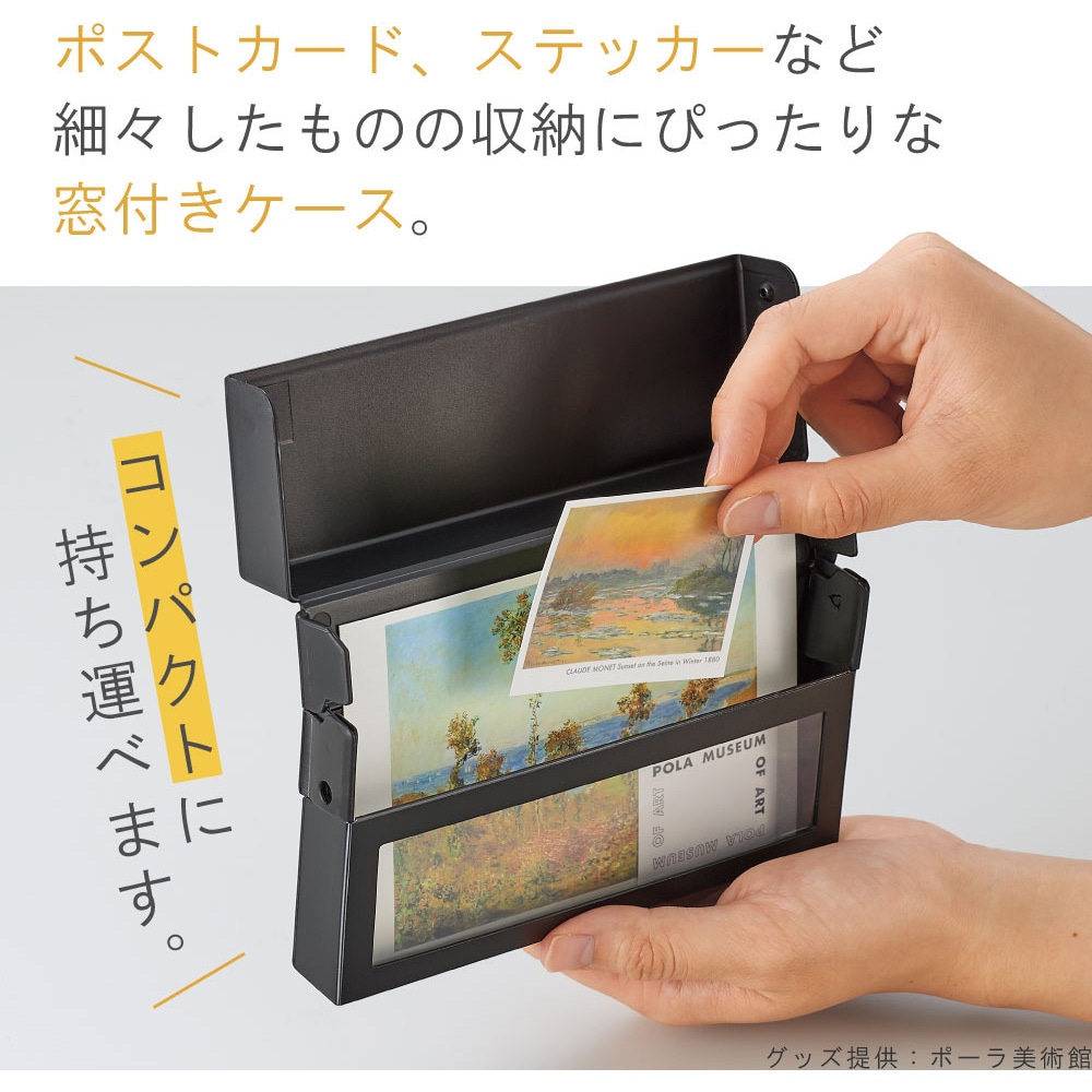 A451-0 Collel コンパクトストレージケース リヒトラブ サイズA6 1冊