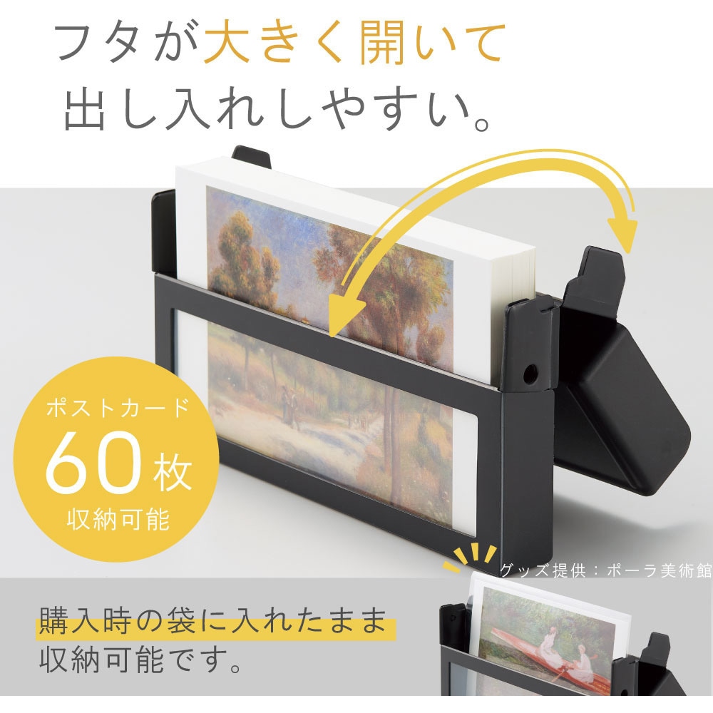 A451-0 Collel コンパクトストレージケース リヒトラブ サイズA6 1冊