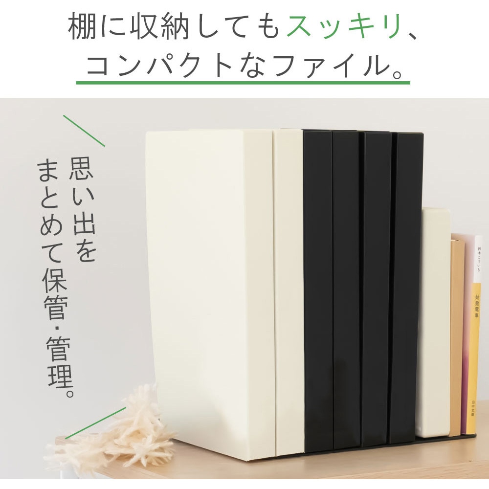 N466-24 Collel リーフレットファイル リヒトラブ ブラック色 A4(三