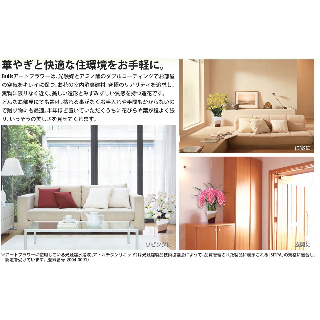 ON-1M-10F ブルズ アートフラワー Bulls(ブルズ) オンシジューム 1個