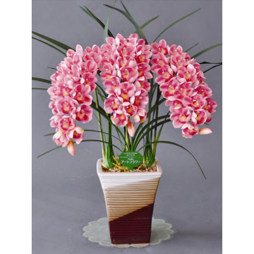 SY-3M-5F ブルズ アートフラワー Bulls(ブルズ) シンビジューム  1個(5本) SY-3M-5F