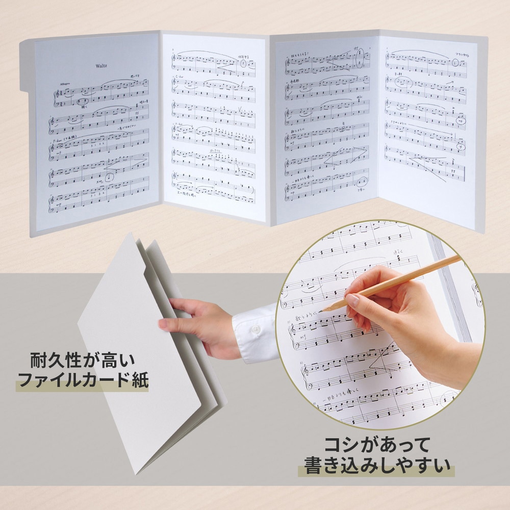 T@プロフ必読ページ　　台紙付き FL-061GD(78531) 楽譜台紙 1パック(10枚) PLUS(プラス)[文具] 【通販