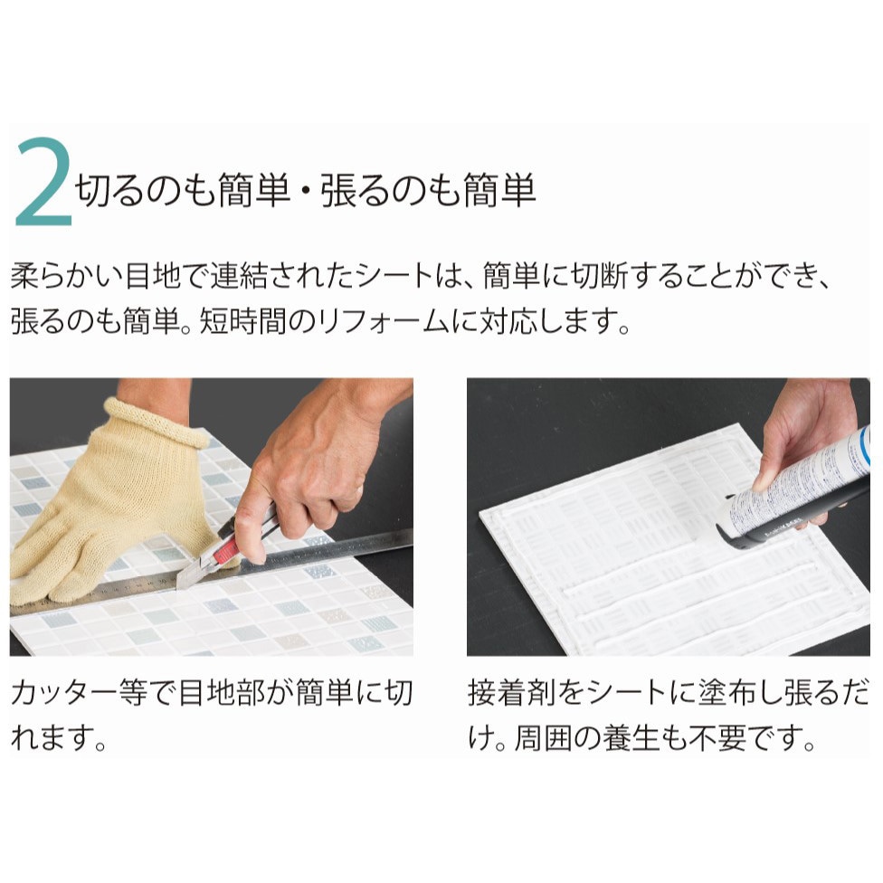 任天堂 - たあさま専用 任天堂DSソフト フィジカルアセスメントトレ―ニング& 心電図