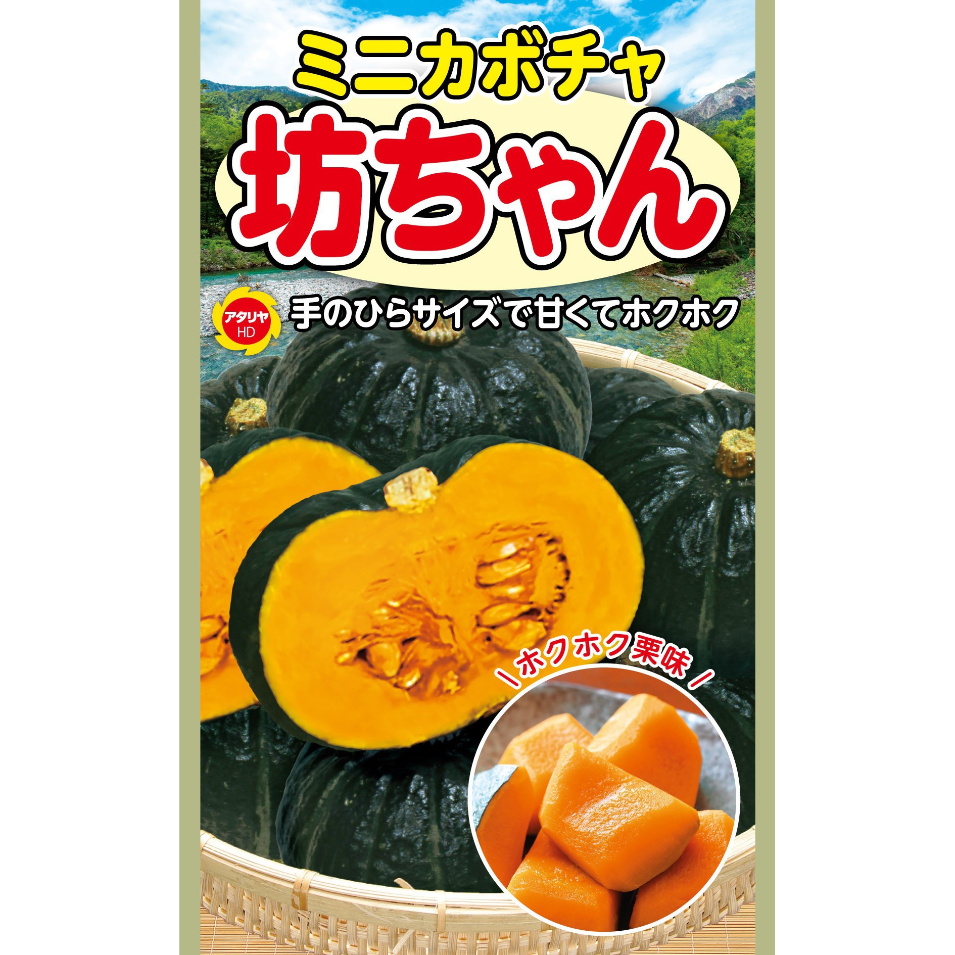 363745 【タネ】ミニカボチャ 坊ちゃん かぼちゃ 野菜 1個 アタリヤ