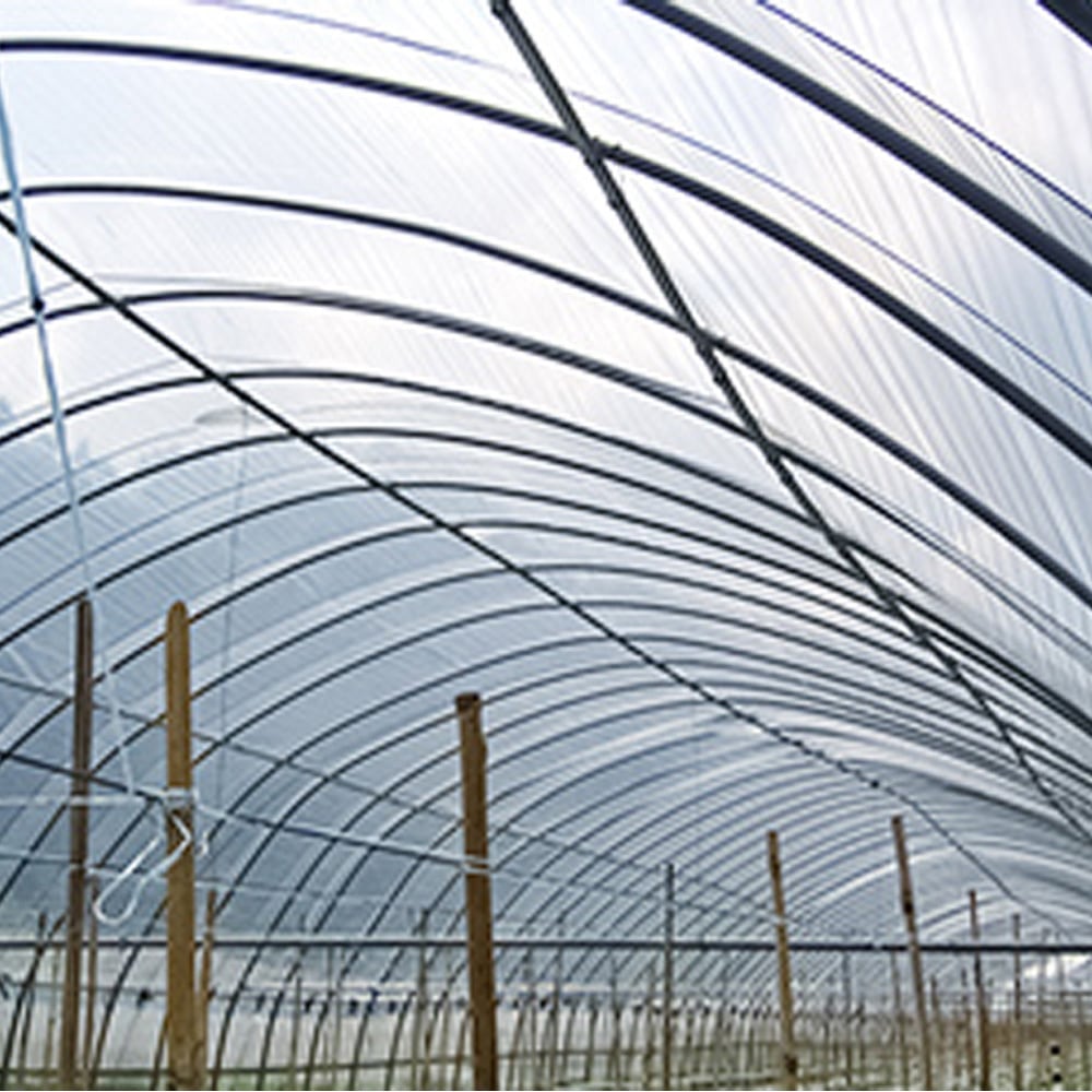 0.1x180x100x1本 一般農ポリ 住化積水フィルム 厚さ0.1mm 1本 - 【通販