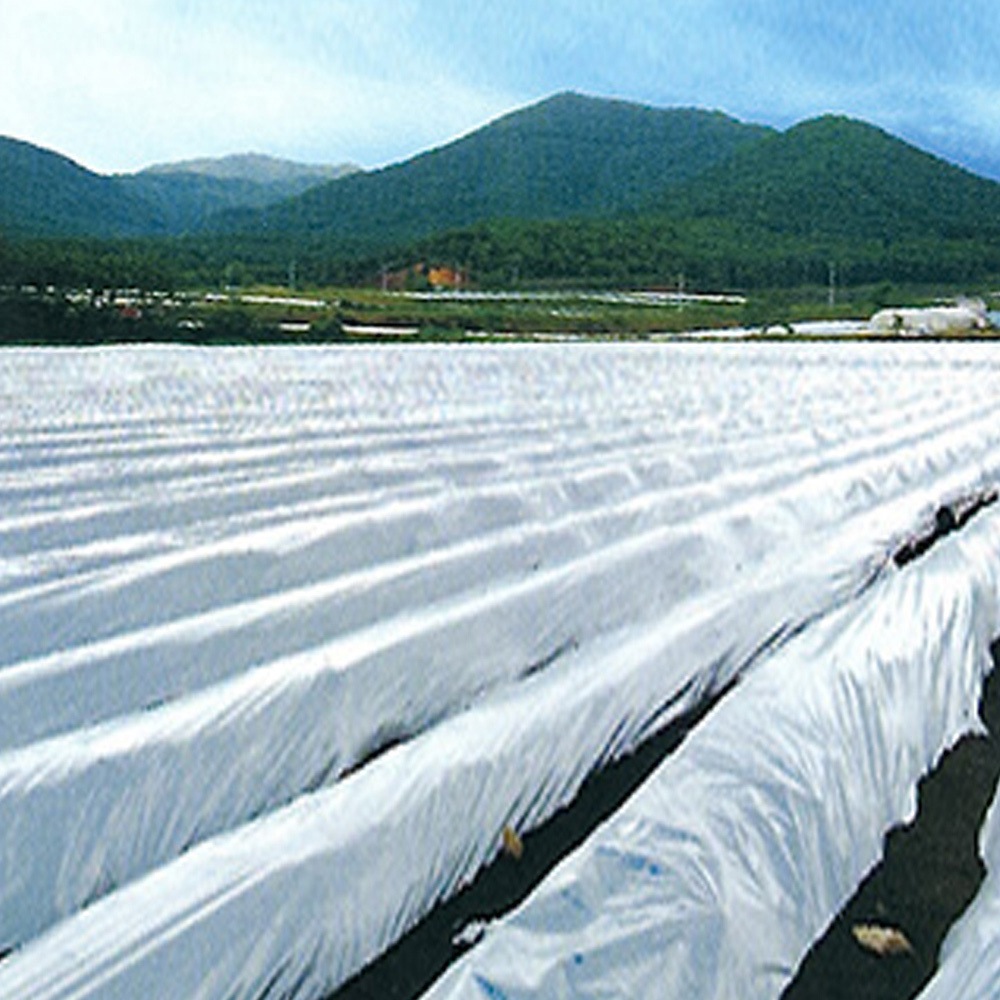 0.025x135x200x3本 ツインホワイト白黒 住化積水フィルム 厚さ0.025mm