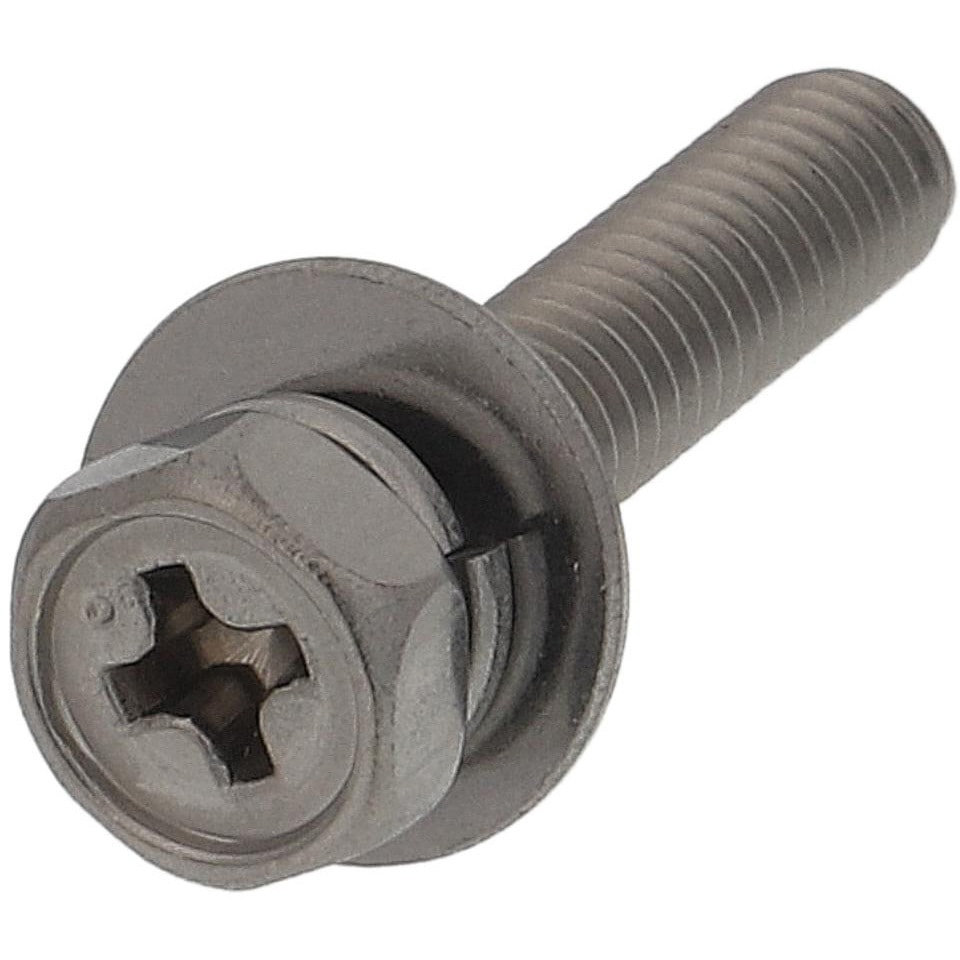 ☆超大量☆ 掛軸まとめて300本セット ☆超大量☆ 掛軸まとめて300本