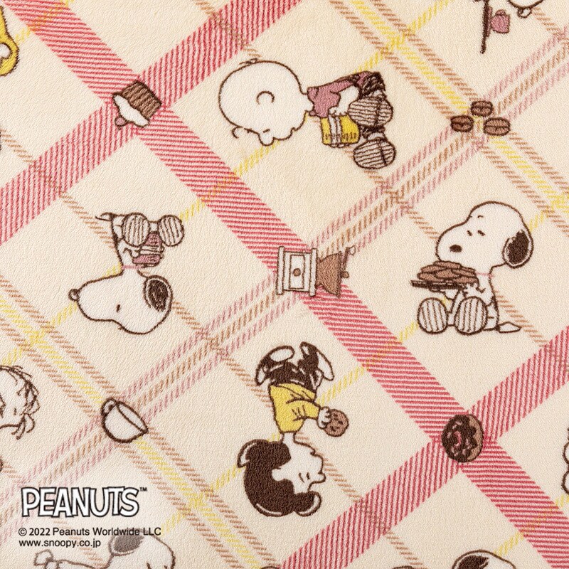 FQ02505035160 西川 洗えるふわふわ毛布 スヌーピー CAFE de