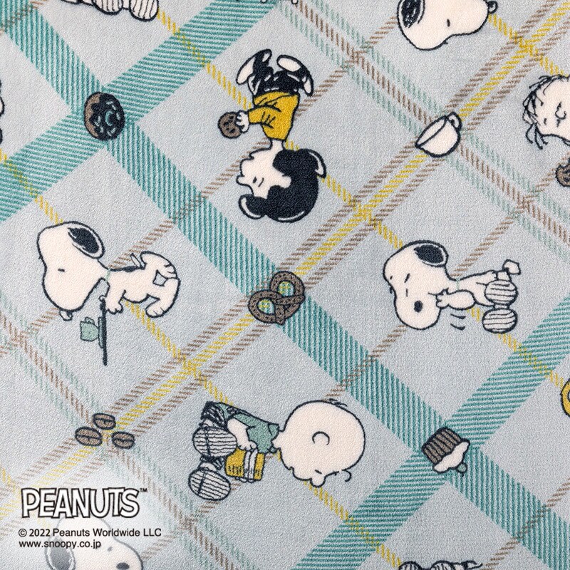 FQ02505035730 西川 洗えるふわふわ毛布 スヌーピー CAFE de