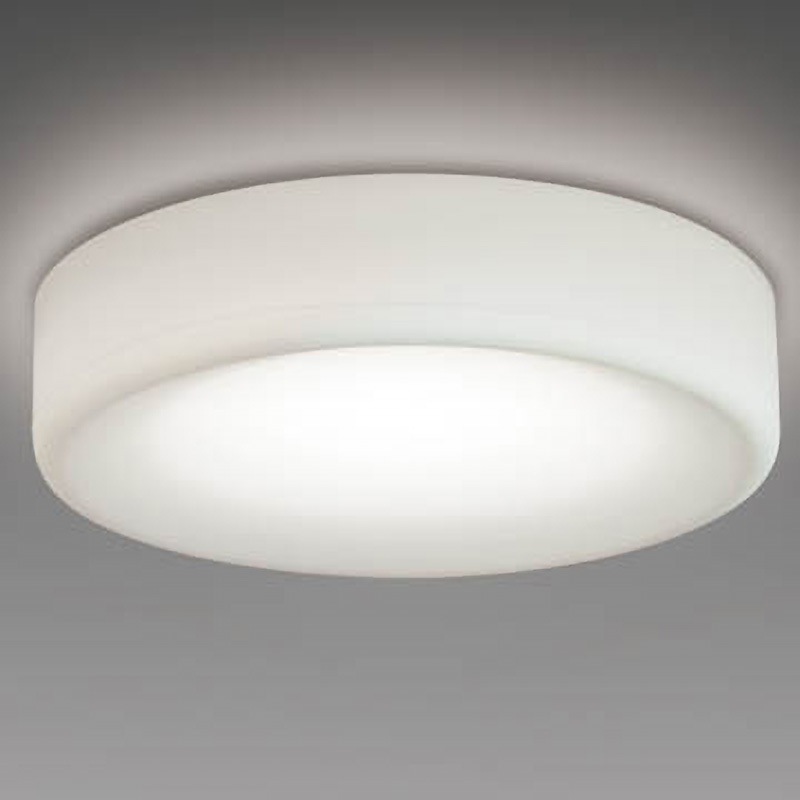 EL-D19/2(152NM)AHZ ベースダウンライト 三菱電機 シリコーンアクセサリタイプ プラスチック 白色 5000K 調光率5～100(信号制御)% 昼白色 Ra83