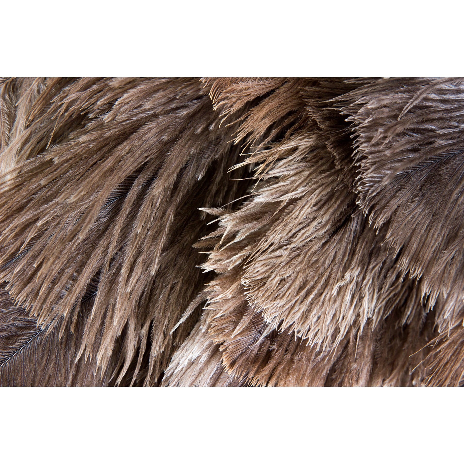 YD-80 カー用品 毛ばたき オーストリッチ 1個 向島自動車用品製作所