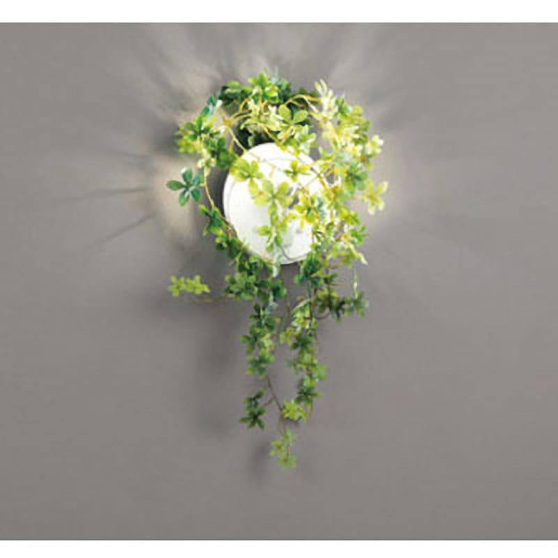 OB255128BR ブラケットライト ODELIC(オーデリック) 電球色～昼光色 2700～6500K Ra94 幅180mm高さ180mm  OB255128BR