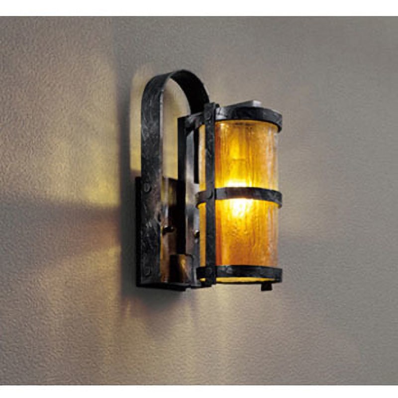 OG254239LCR エクステリア ポーチライト ODELIC(オーデリック) 高演色